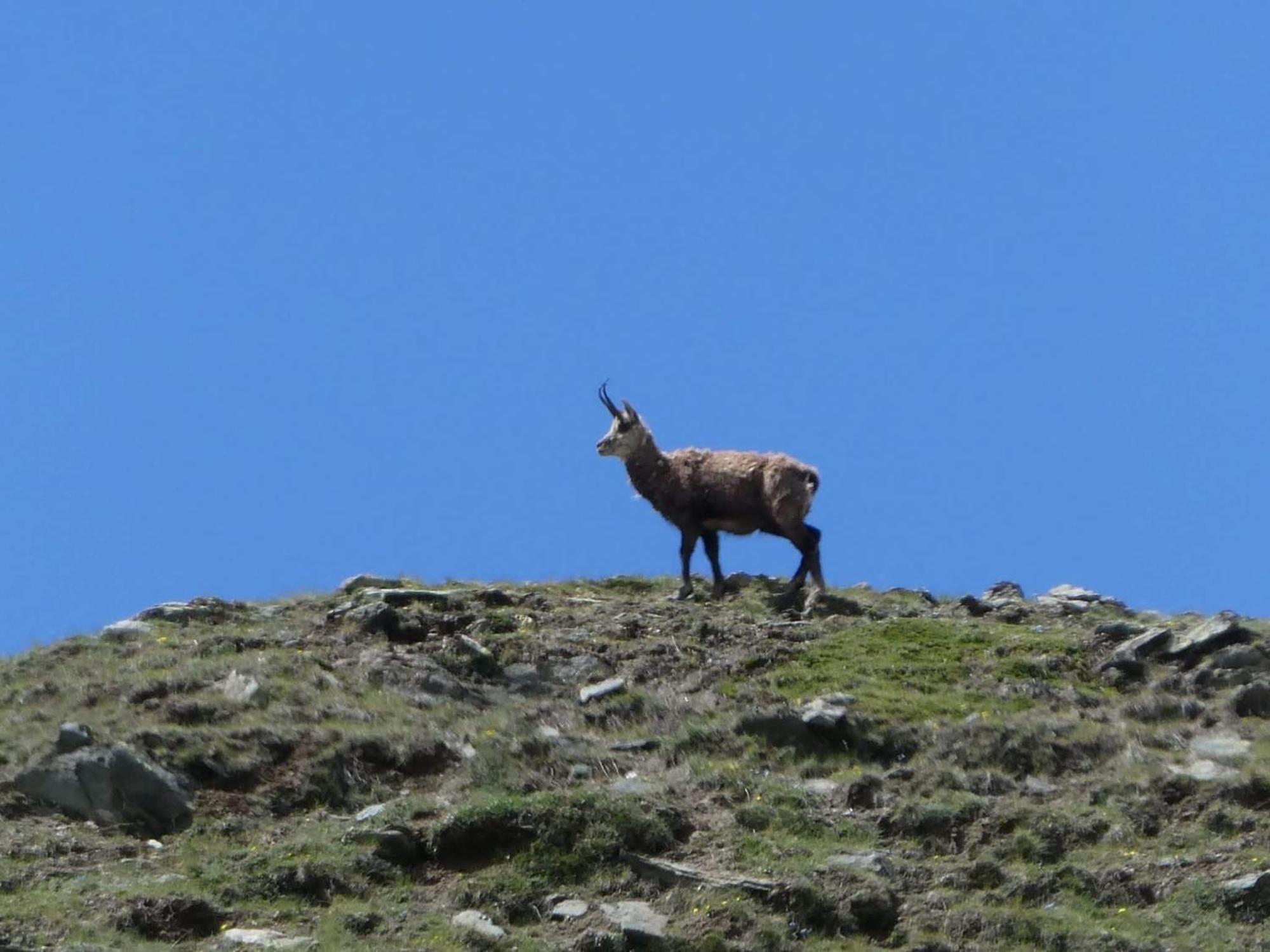 Aosta Maisongnemaz Zewnętrze zdjęcie