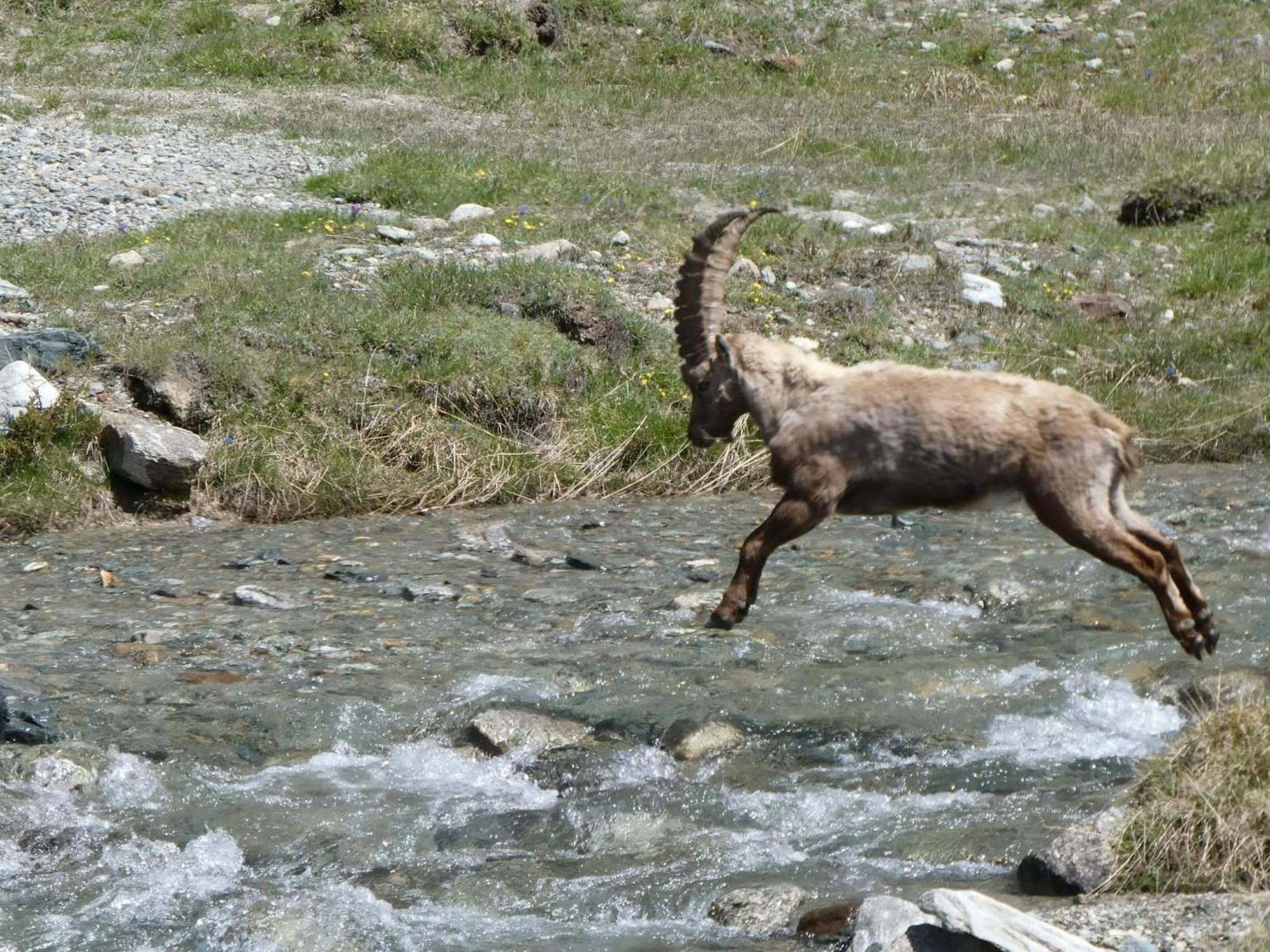 Aosta Maisongnemaz Zewnętrze zdjęcie